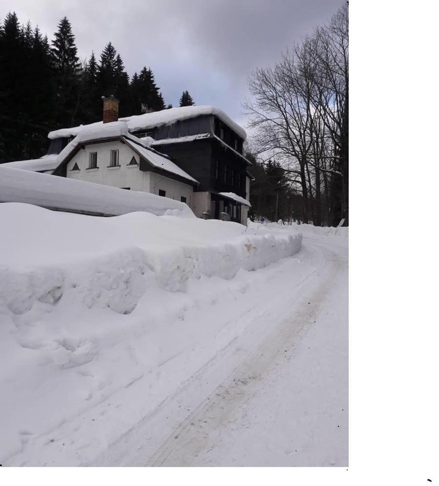 Apartman Pod Marianskou Horou Desná Esterno foto